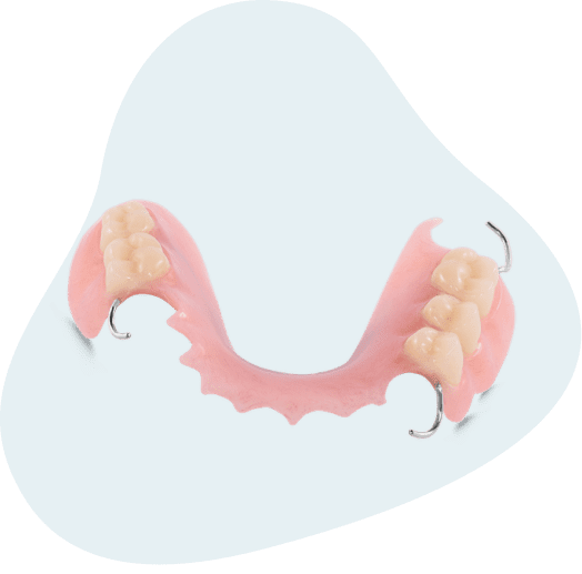 CAT Body PNG